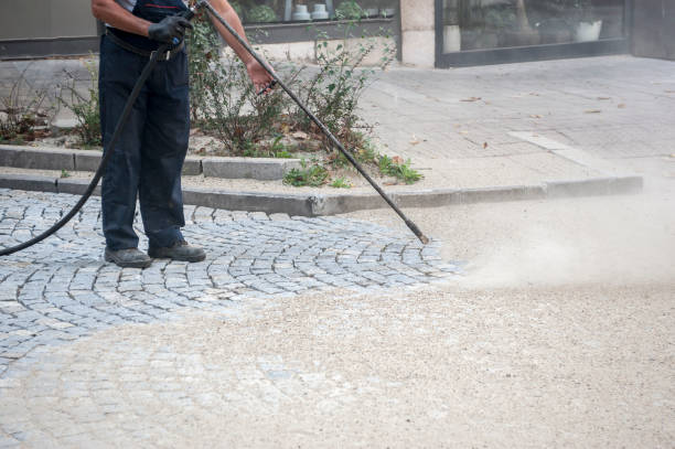 Best House Exterior Washing  in Goliad, TX
